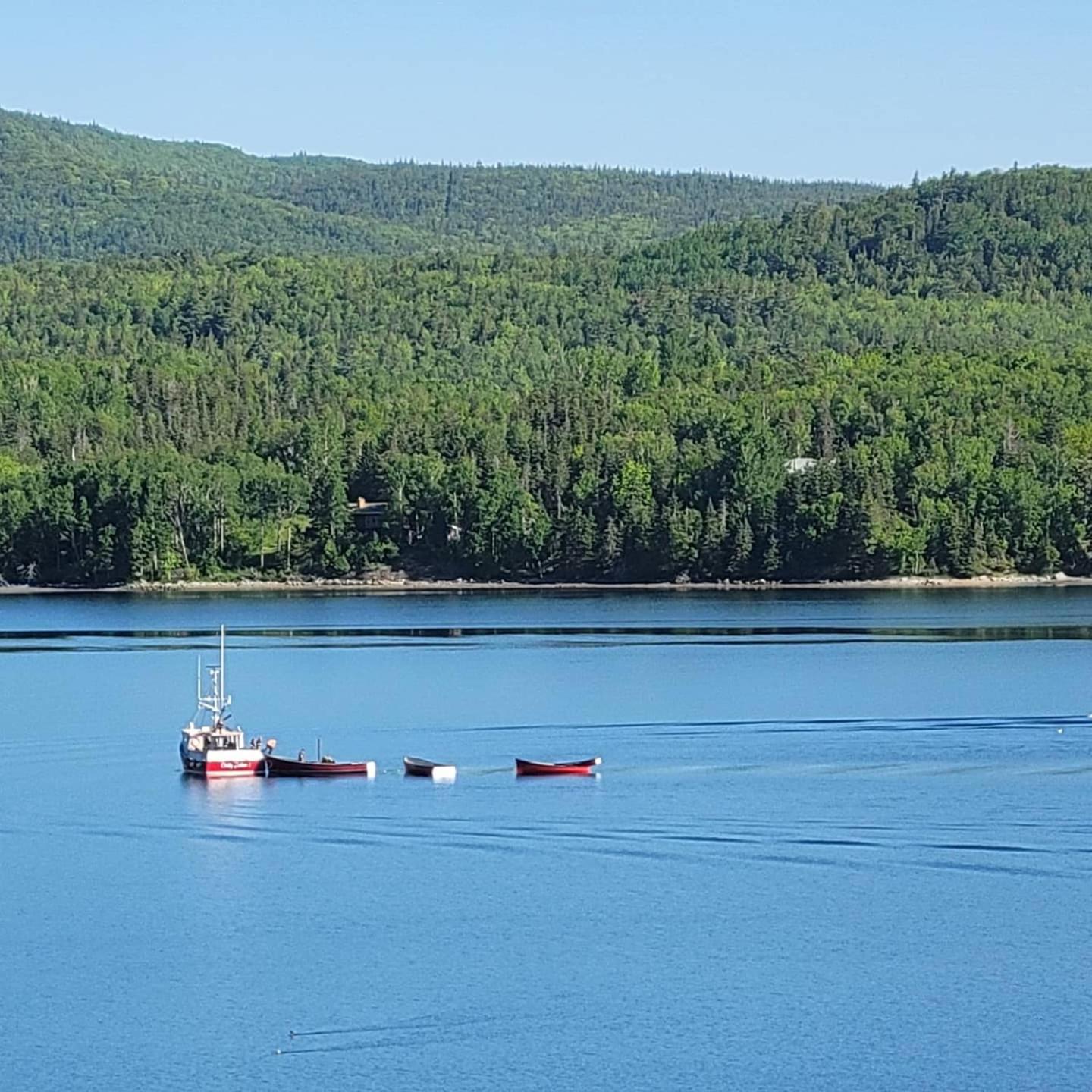Knotty Pine Cottages, Suites & Motel Rooms إينغونيش المظهر الخارجي الصورة
