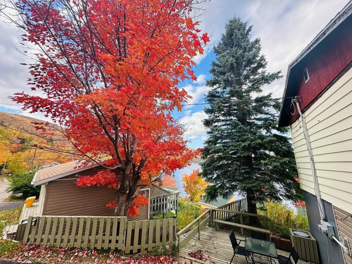 Knotty Pine Cottages, Suites & Motel Rooms إينغونيش المظهر الخارجي الصورة